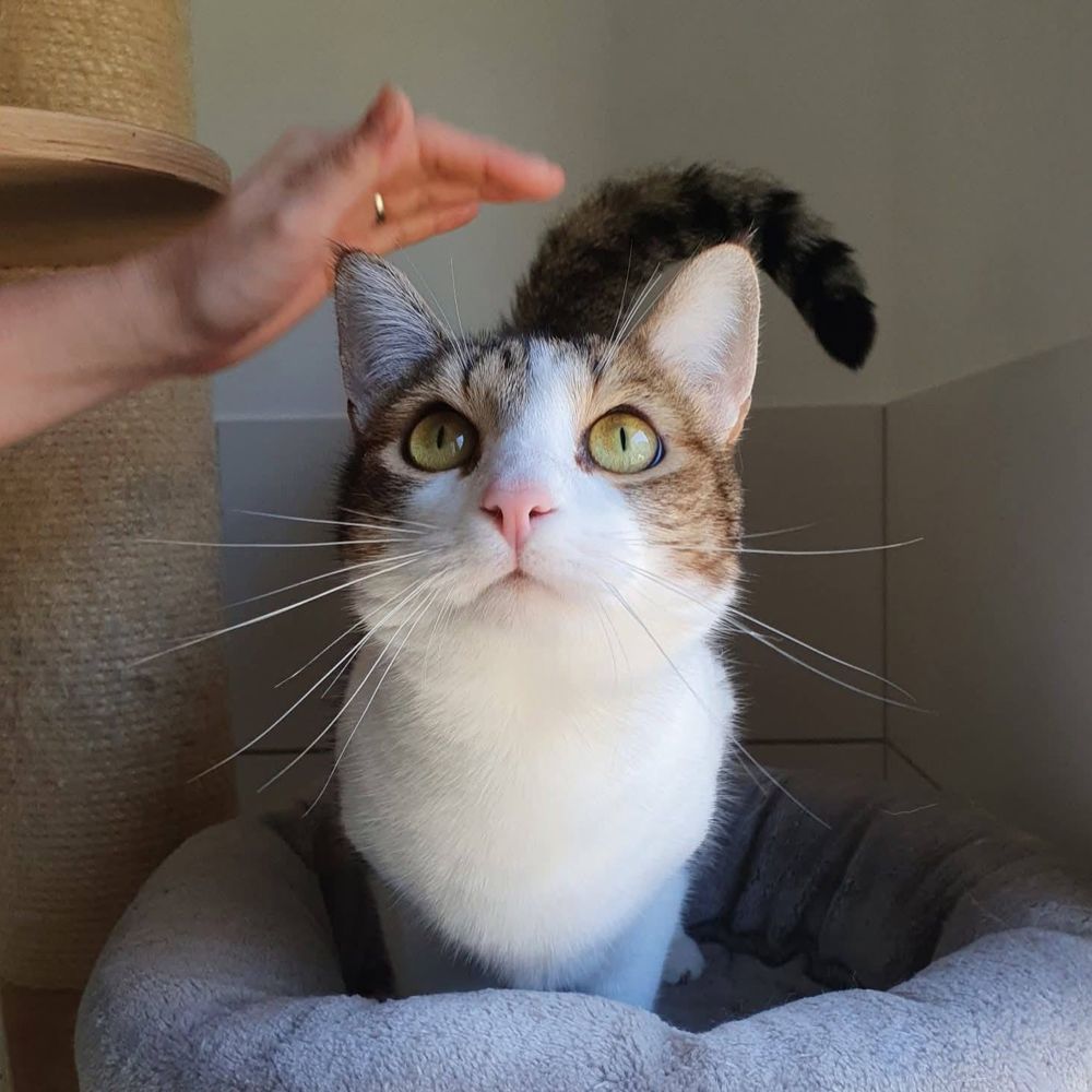 MELINA 1 26200 Mont�limar