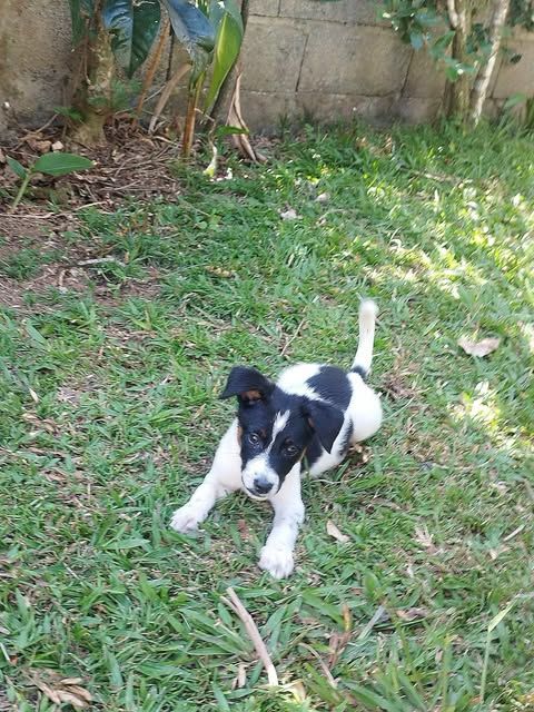 La belle Daya 300 60250 Angy