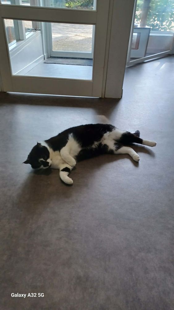 Quiou l'attachant 90 35000 Rennes