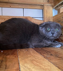 Anatol 200 26700 Pierrelatte