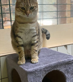 G&acirc;t&eacute; 200 26700 Pierrelatte