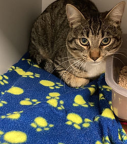 H&egrave;res 200 26700 Pierrelatte