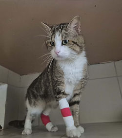 Vareck 200 26700 Pierrelatte