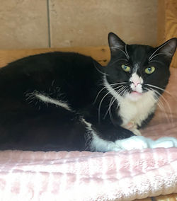 Wima 200 26700 Pierrelatte