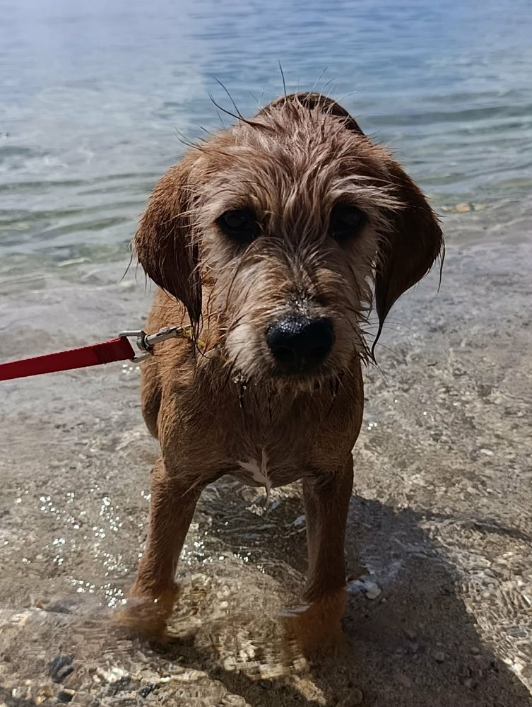 Youpi, b&eacute;b&eacute; joyeux 300 86000 Poitiers