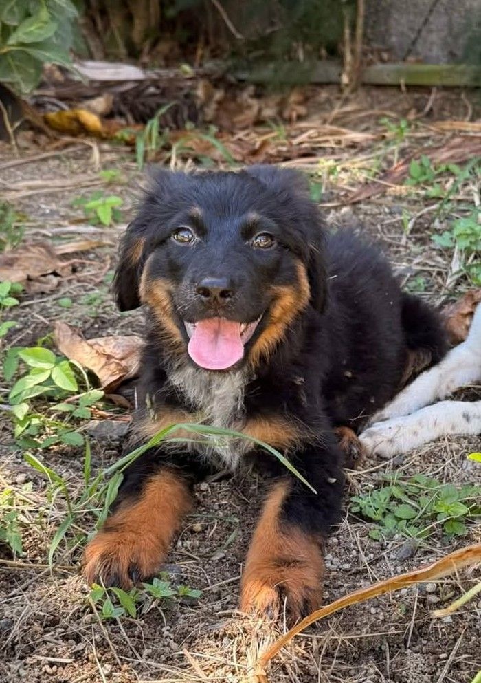 NAMI la r&ecirc;veuse 300 80130 Allenay