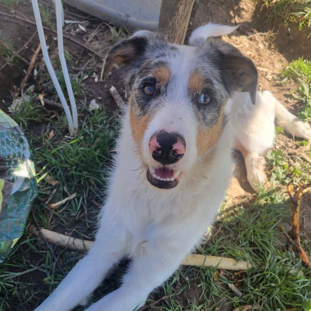 Fluffly 200 26100 Romans-sur-is�re