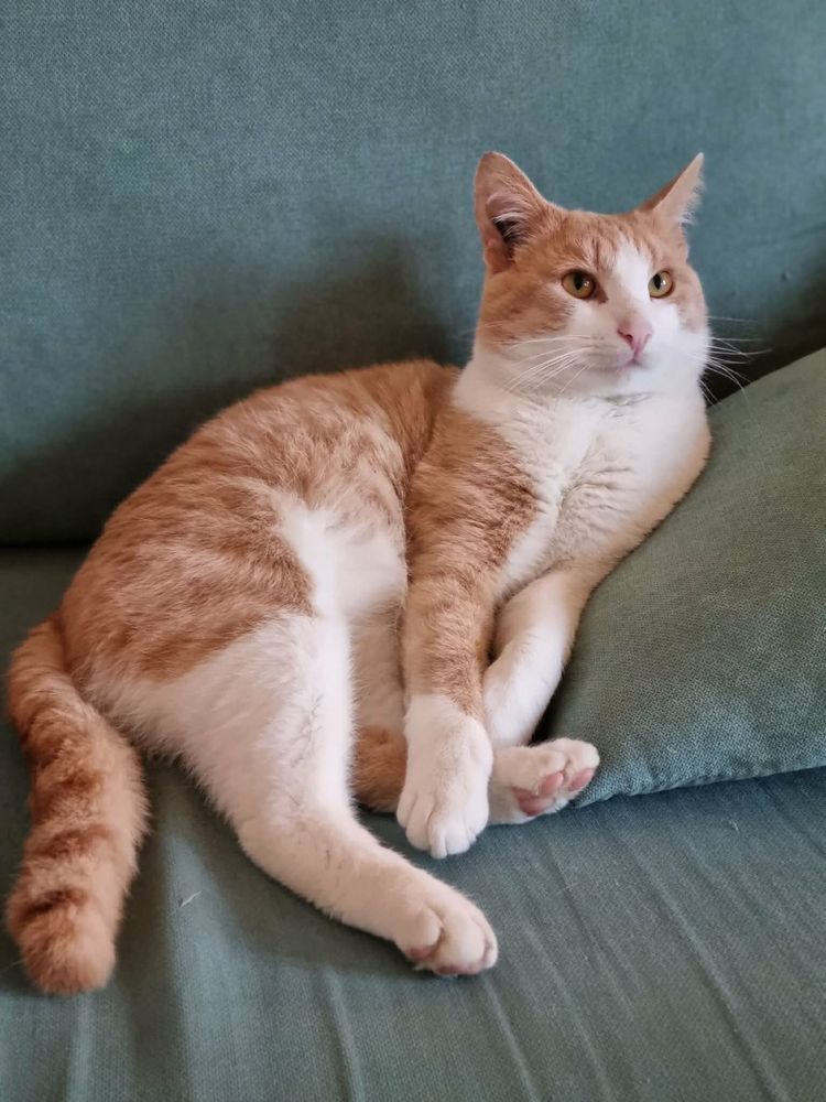 Azra&euml;l :  un vrai pot de colle ! 180 75011 Paris