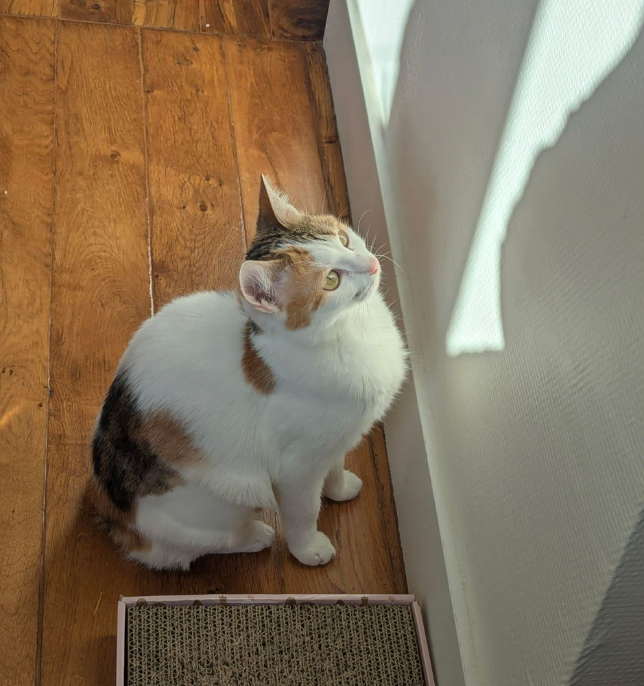 Clarisse : la discr&egrave;te qui fait chavirer les c�urs 180 75010 Paris