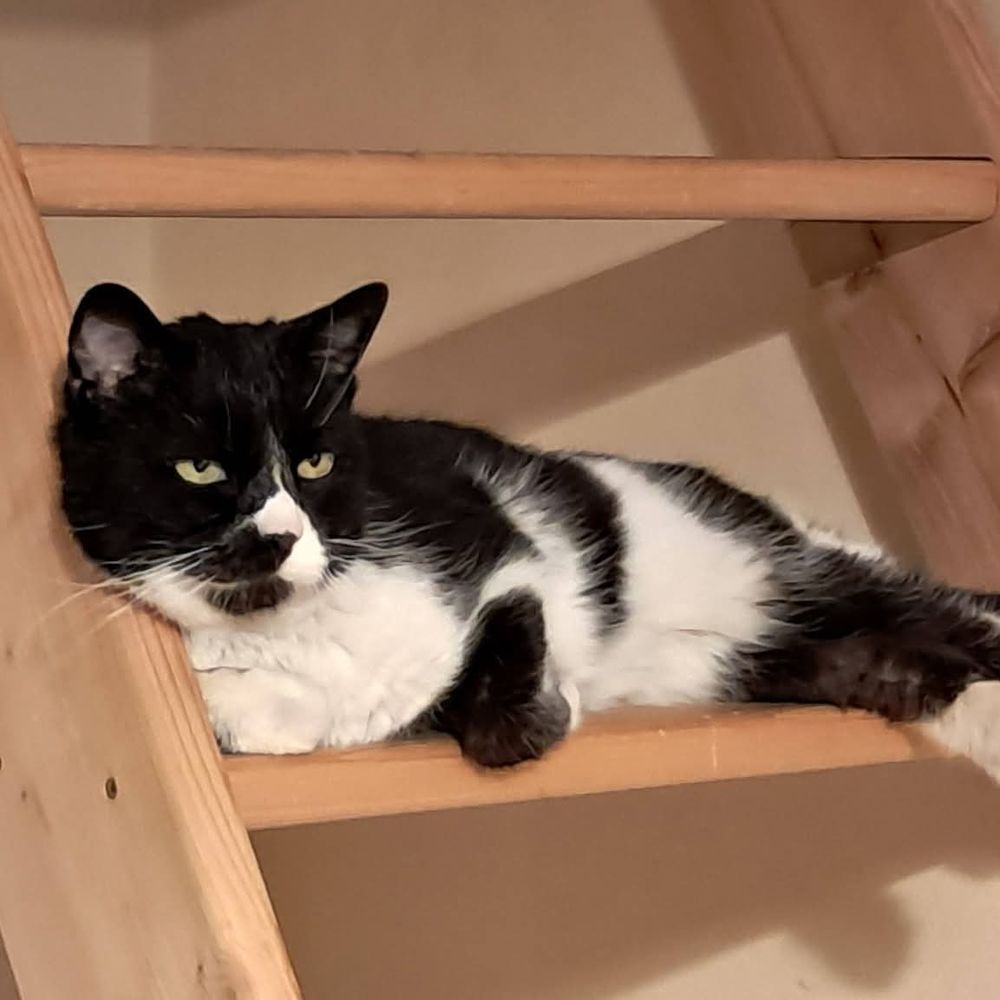 Spot 50 26100 Romans-sur-is�re