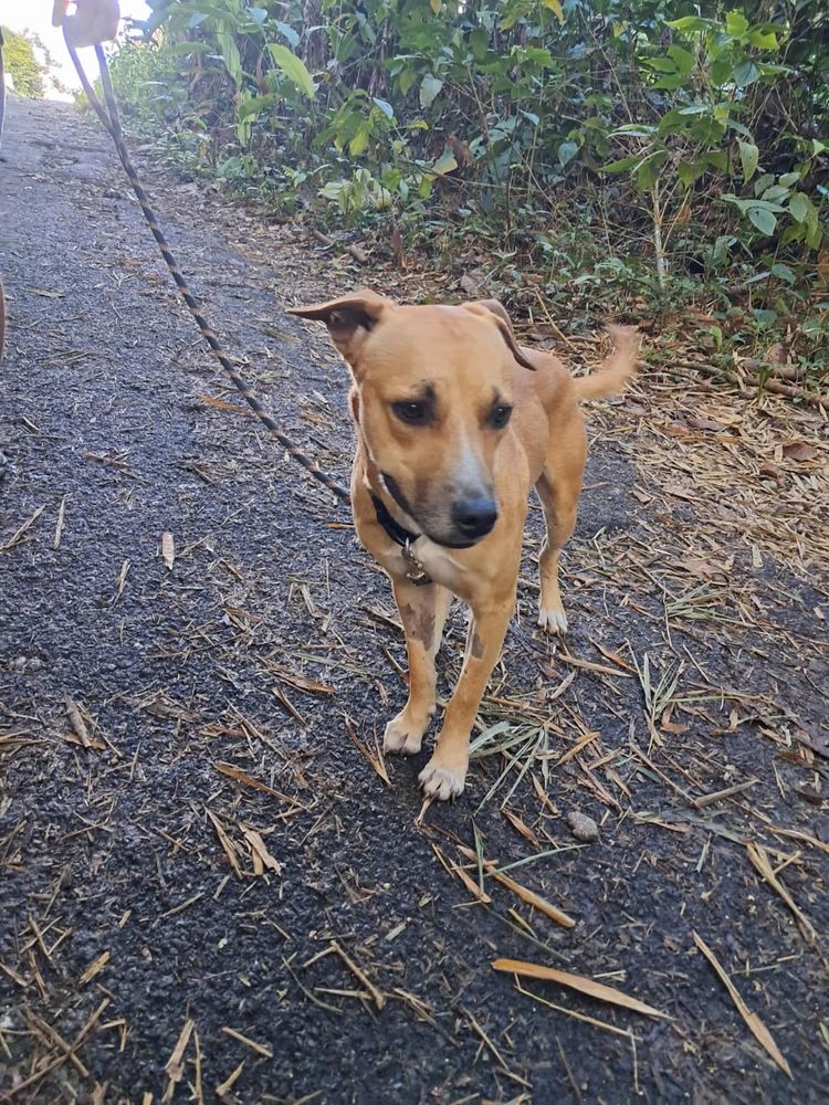 A&Iuml;KO la douceur des &icirc;les 350 95000 Cergy