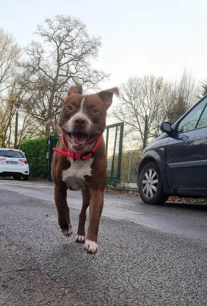 TATUM, le dynamique 350 91000 �vry