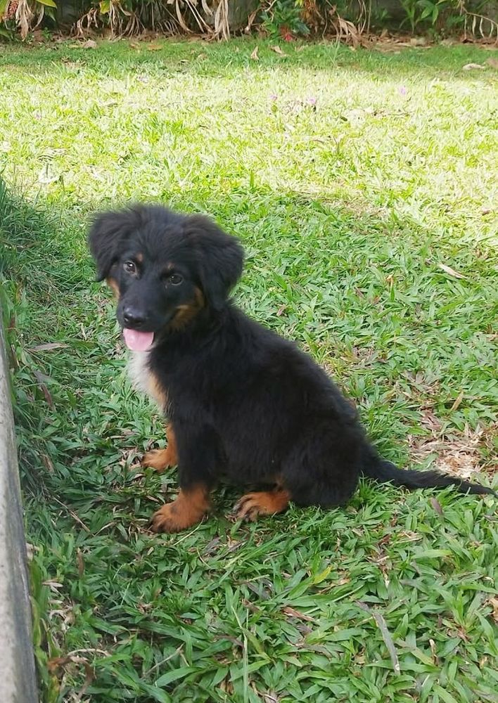 NAMI la r&ecirc;veuse  300 80000 Amiens