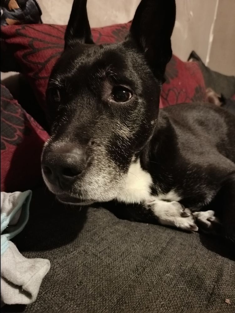 Crunch 330 59810 Lesquin