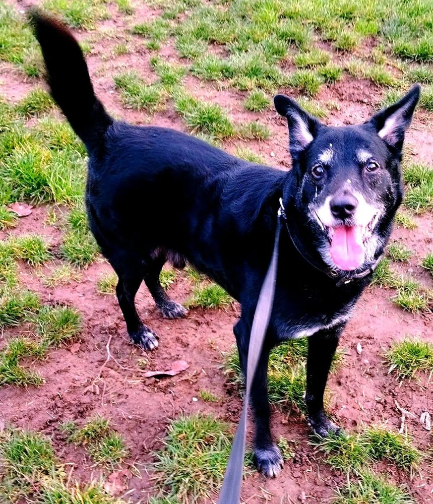 Tom 290 59100 Roubaix