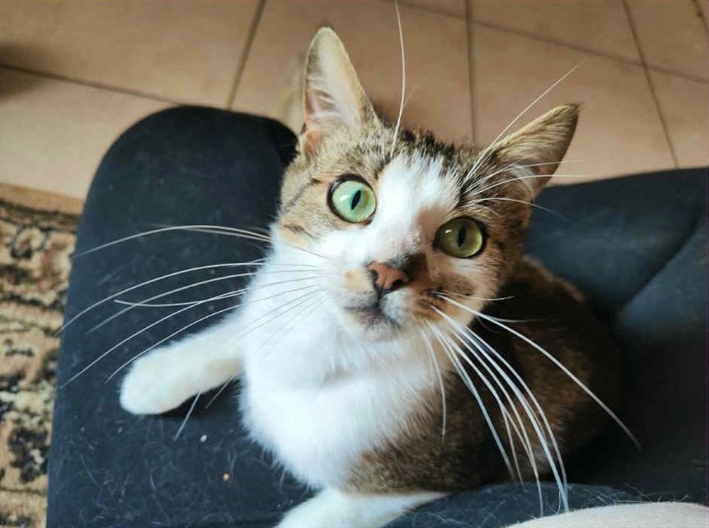 Lilo 190 59000 Lille