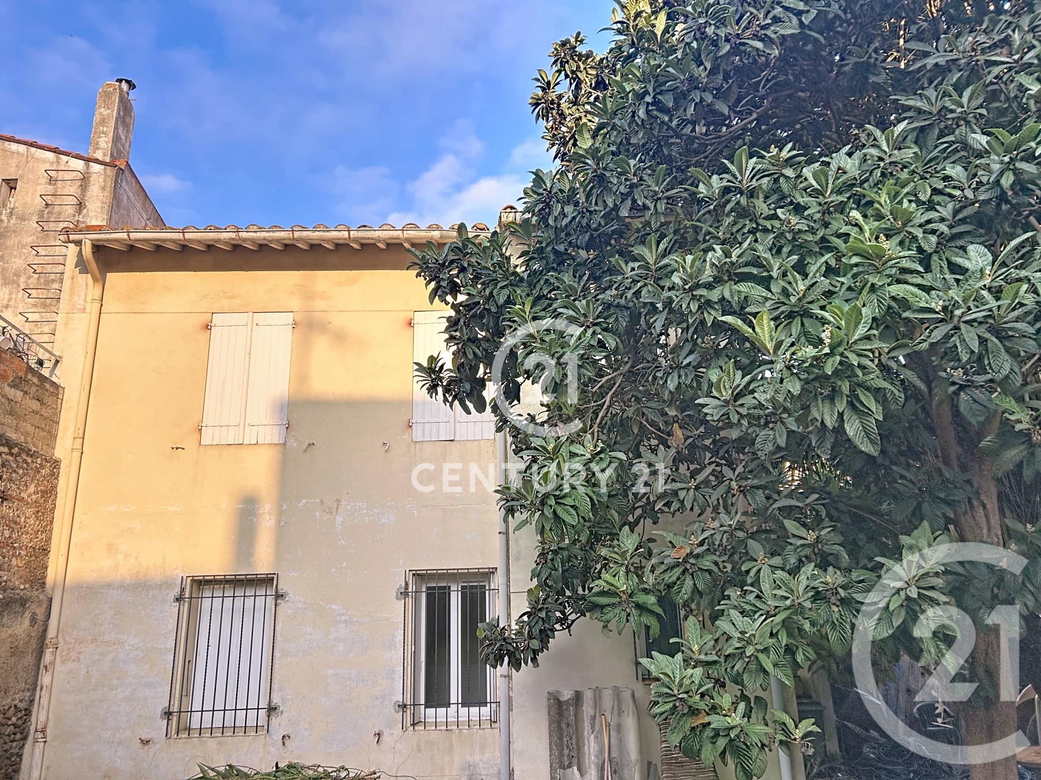 Immeuble ELNE 2 appartements / jardin