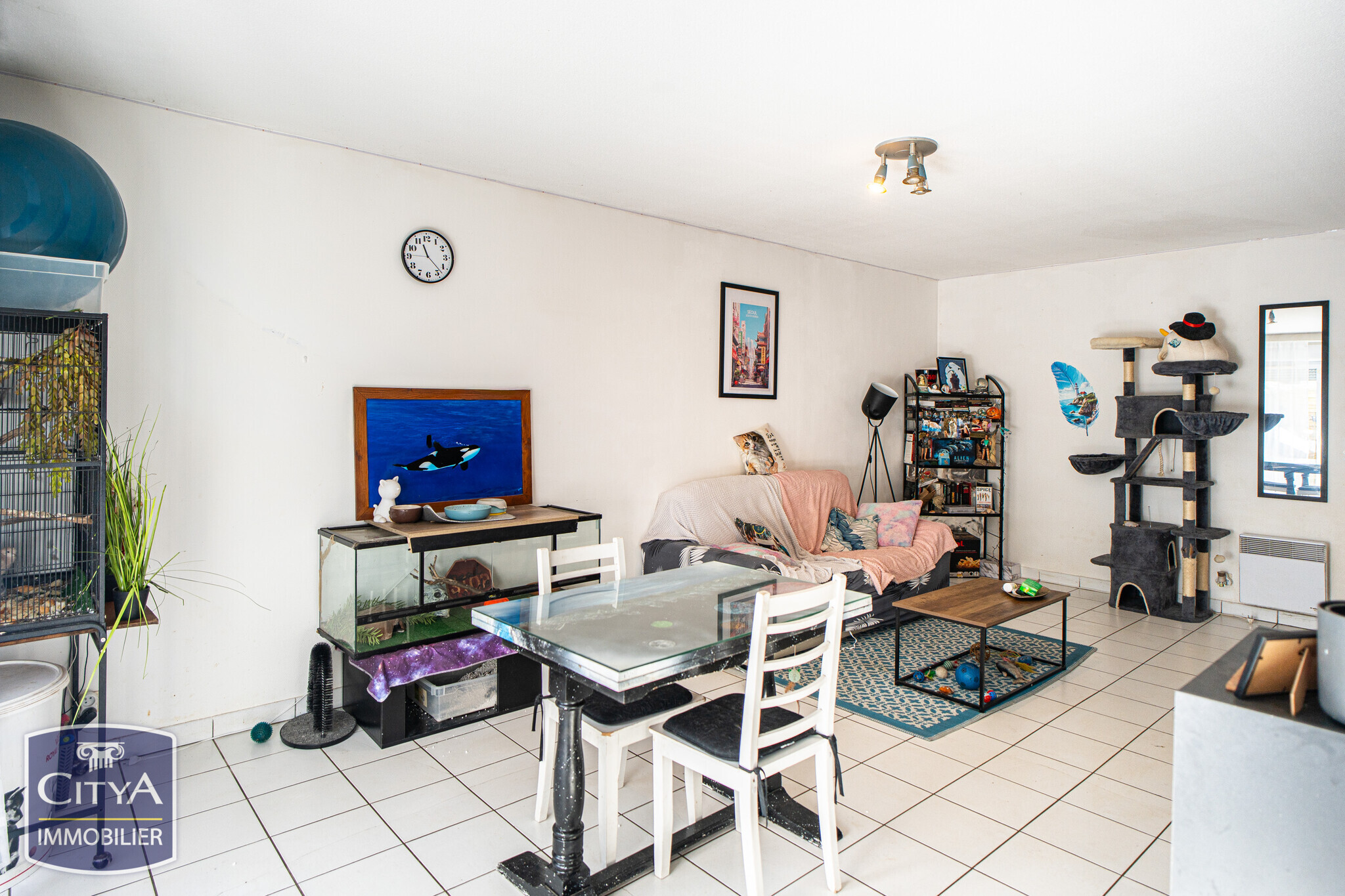 appartement