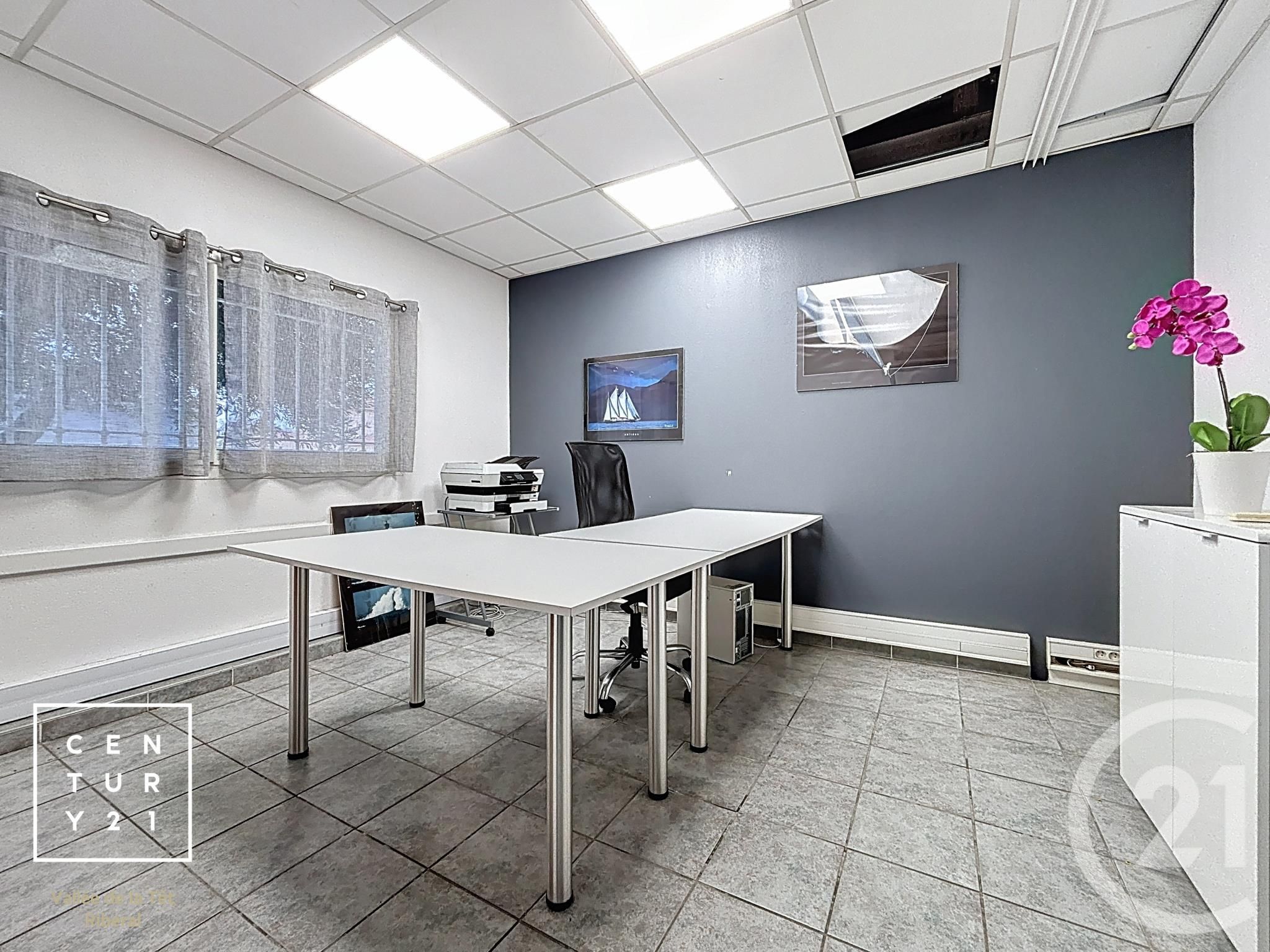 TOULOUGES ZONE ARTISANALE BALTAZA - LOCAL BUREAUX PARKINGtre annonce