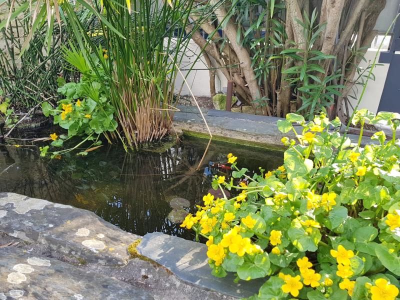   Saint-trojan-les-bains