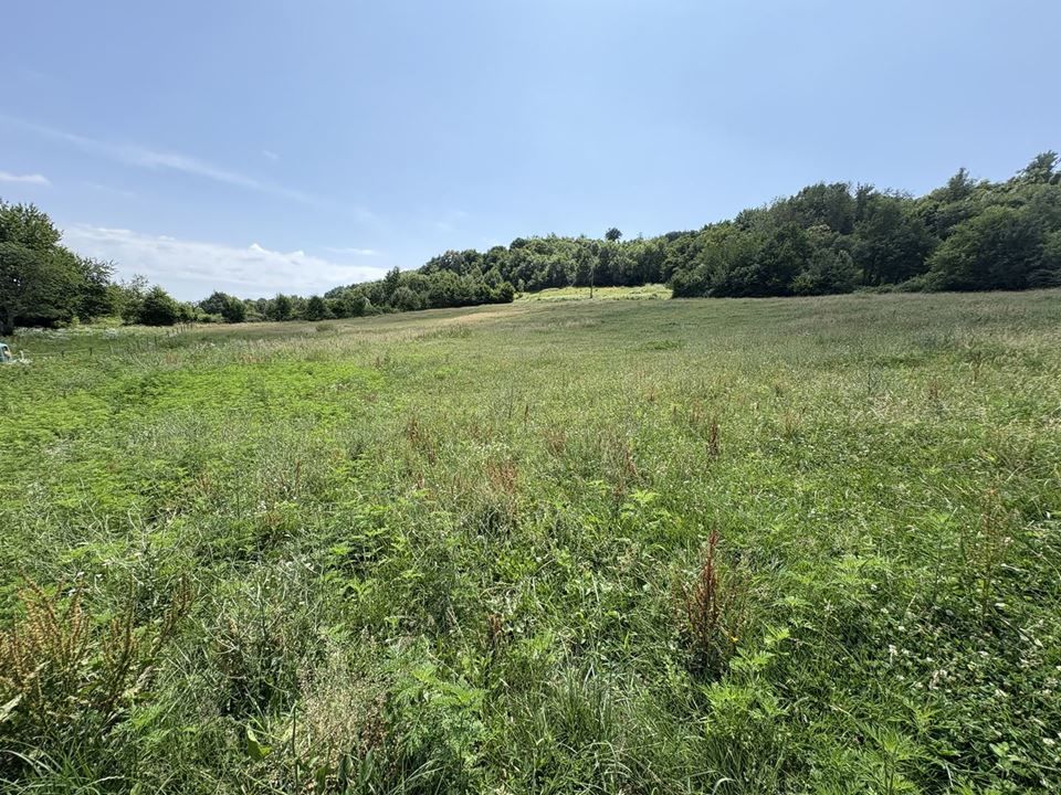 Propriété - 130m ²