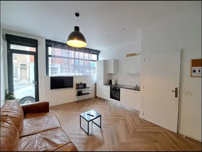 lot de 3 logements Airbnb.