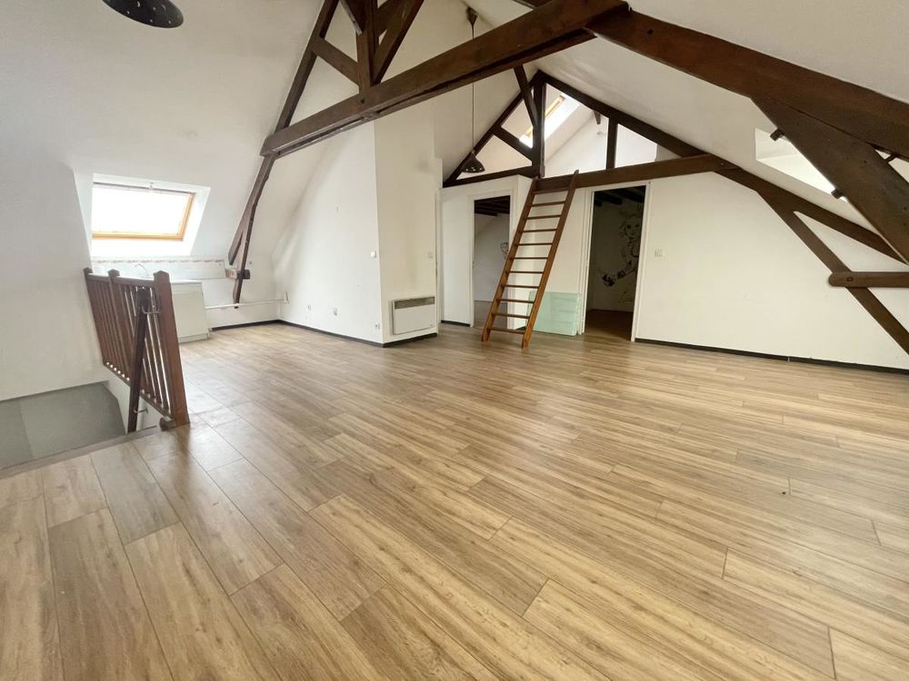 appartement 3 pièces style loft