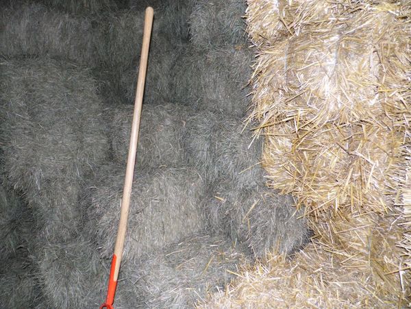 Foin et paille petites balles 1 55000 Bar-le-duc