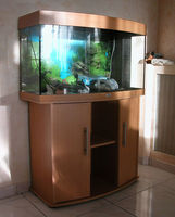 Aquarium JUWEL Vision 180 L 280 59251 Allennes-les-marais