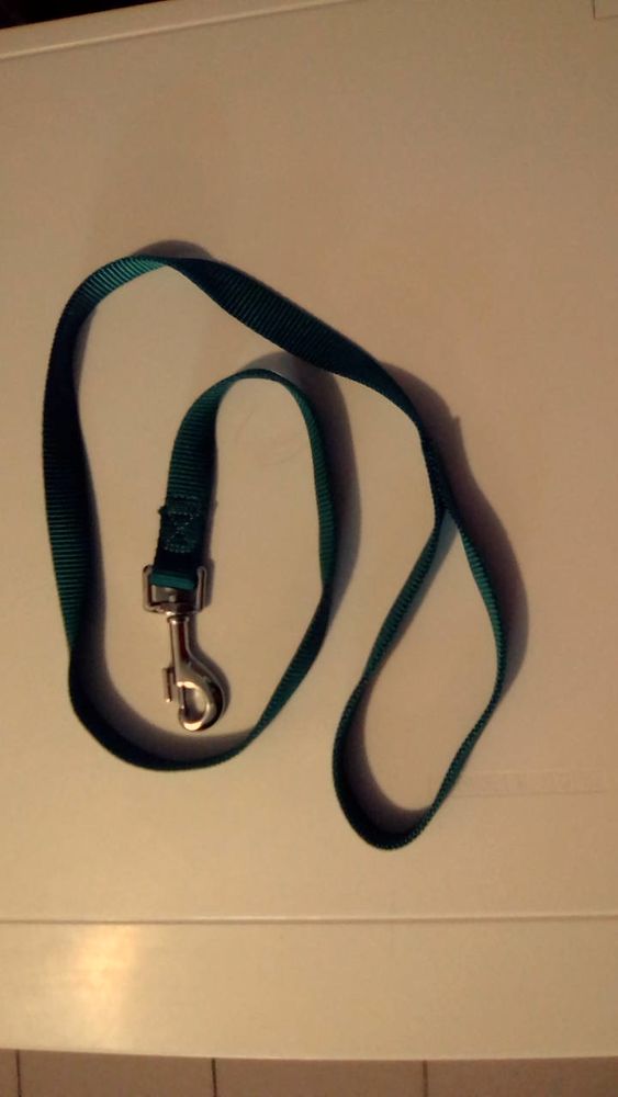 Laisse Courte Chien / Chiot - Taille M 15 62510 Arques