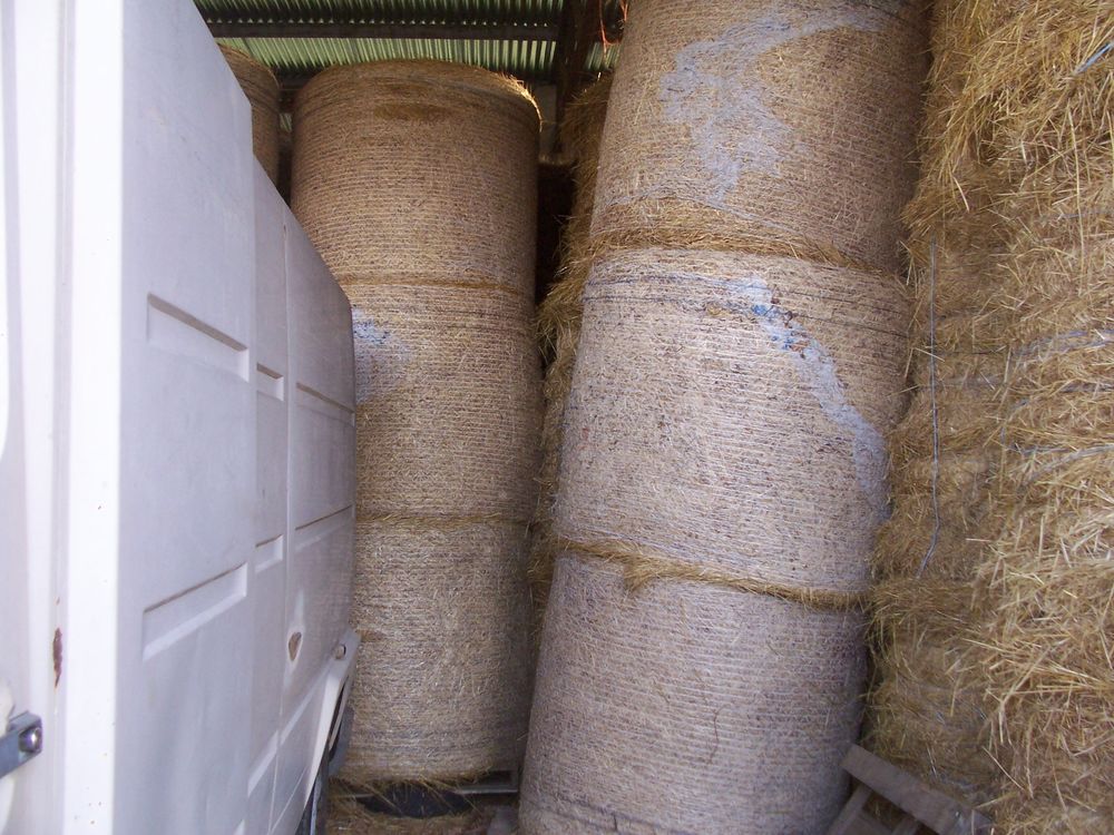 foin   balles   ronde 95 81990 Le sequestre