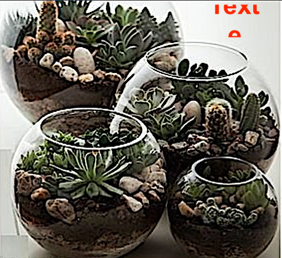 BOCAL  DECO - BOCAL BOULE 20 83400 Hy�res