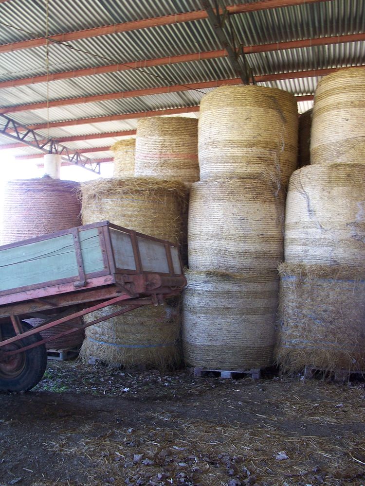 foin    botte   ronde 2025  bio 95 81990 Le sequestre