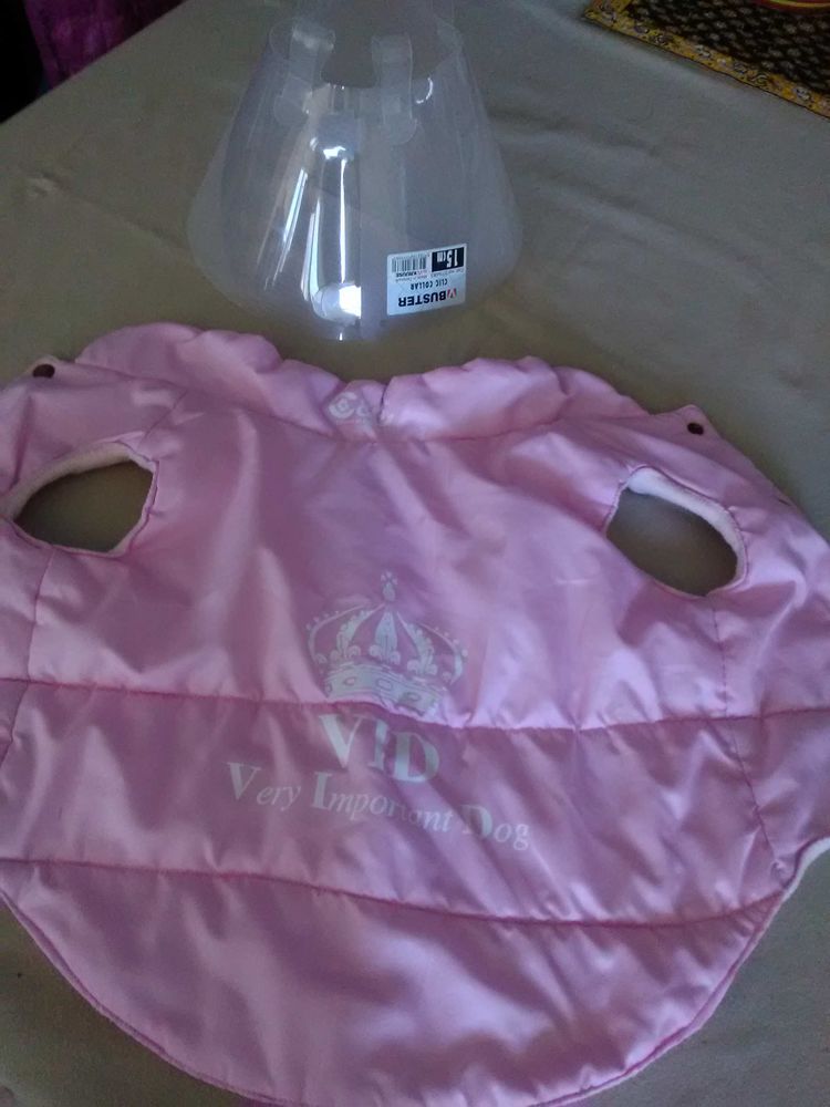 Accessoires pour Chiens (4) / &agrave; l'unit&eacute; 6 84300 Taillades