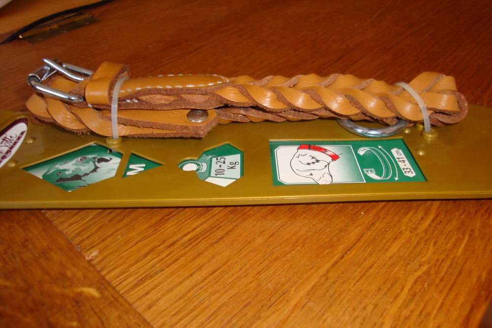 collier pour chien 10 59890 Quesnoy-sur-de�le