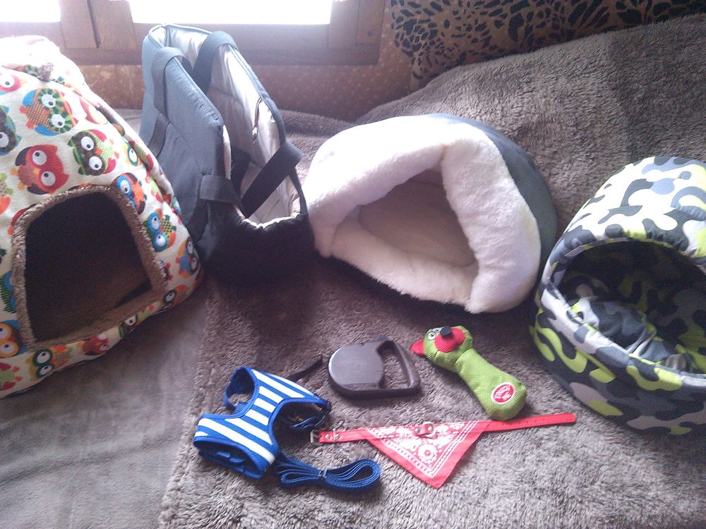 ACCESSOIRES POUR PETITS CHIENS DE   1 A 3 KG  OU POUR CHATS 250 60410 Verberie