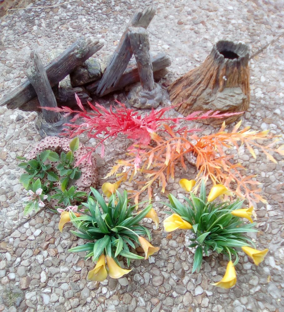 D&eacute;coration aquarium 15 95250 Beauchamp