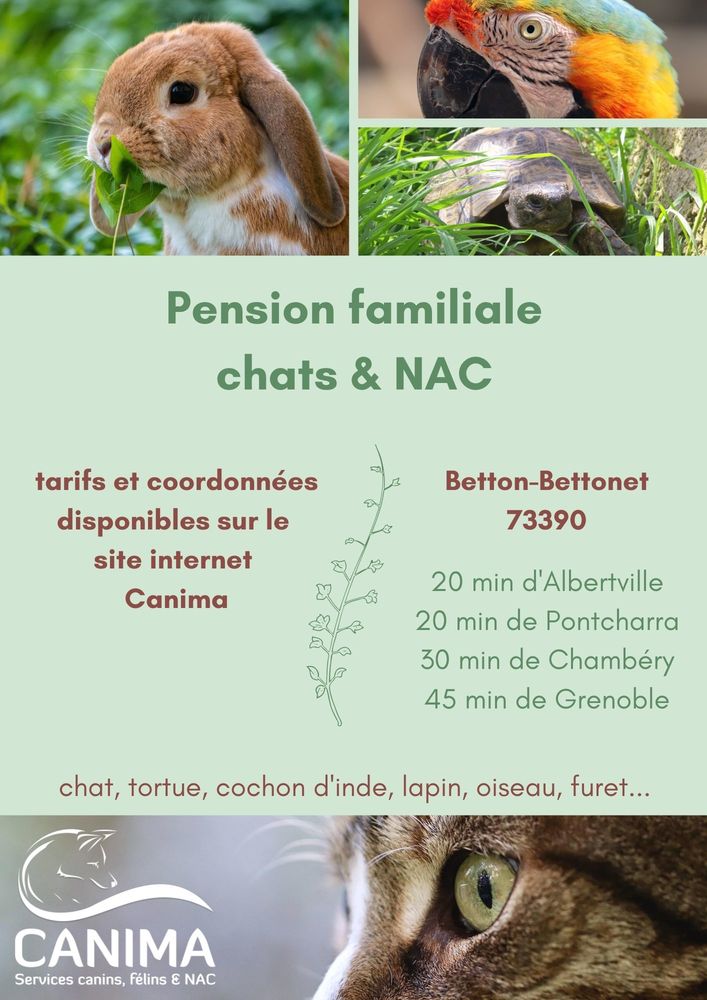 Pension chat lapin cochon d'inde tortue oiseau furet  73390 Betton-bettonet