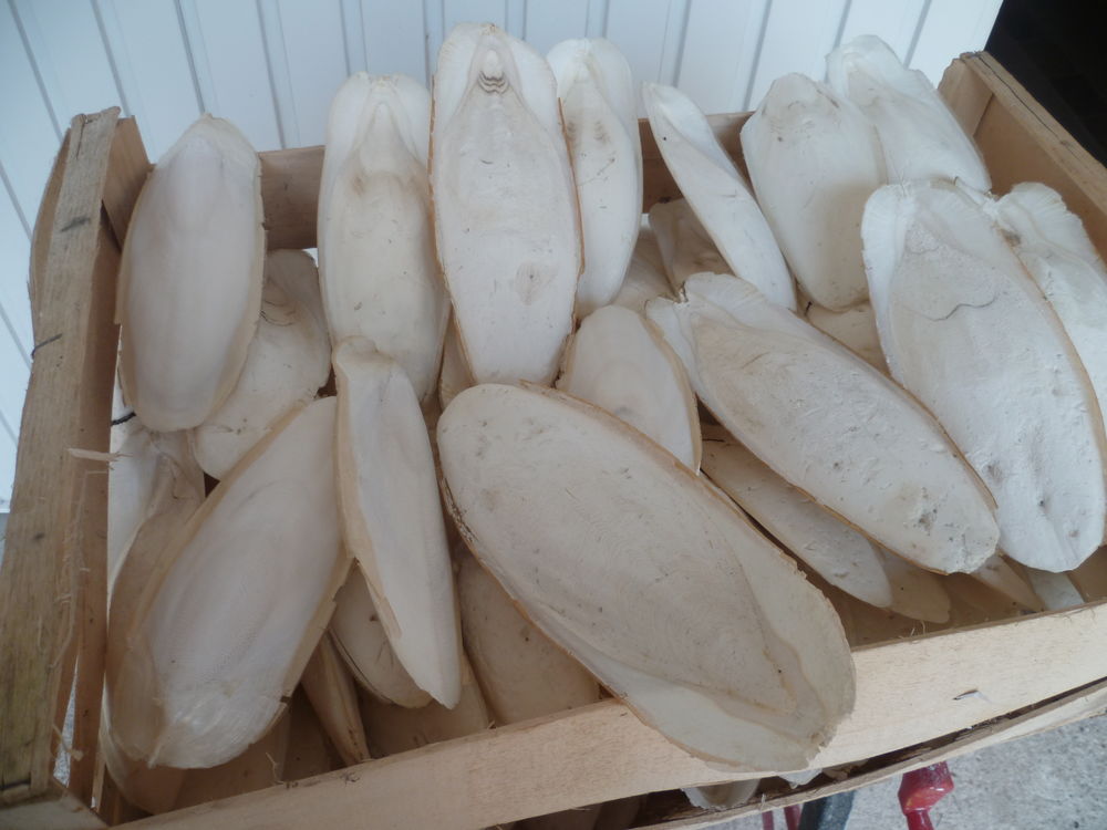 os de seiches 10 77290 Mitry-mory