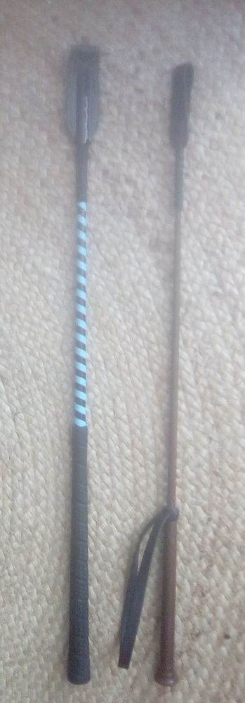 2 cravaches 5 95250 Beauchamp