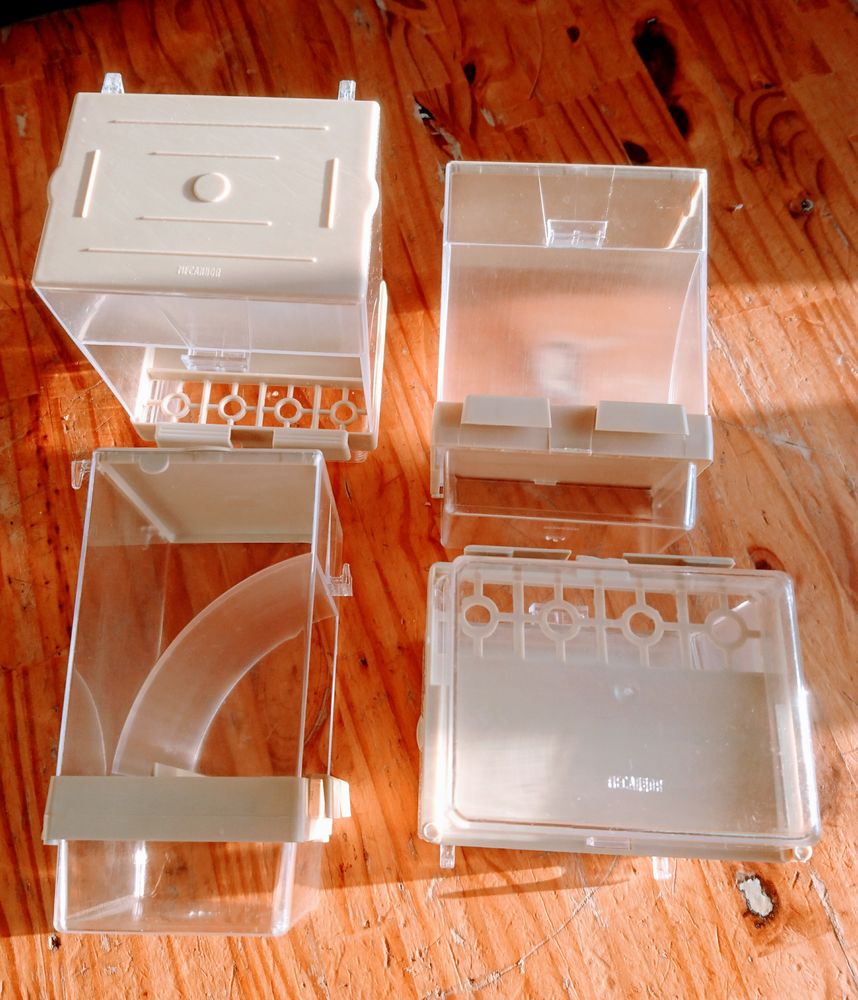 Mangeoire Commodore  anti-gaspillage 3 62210 Avion