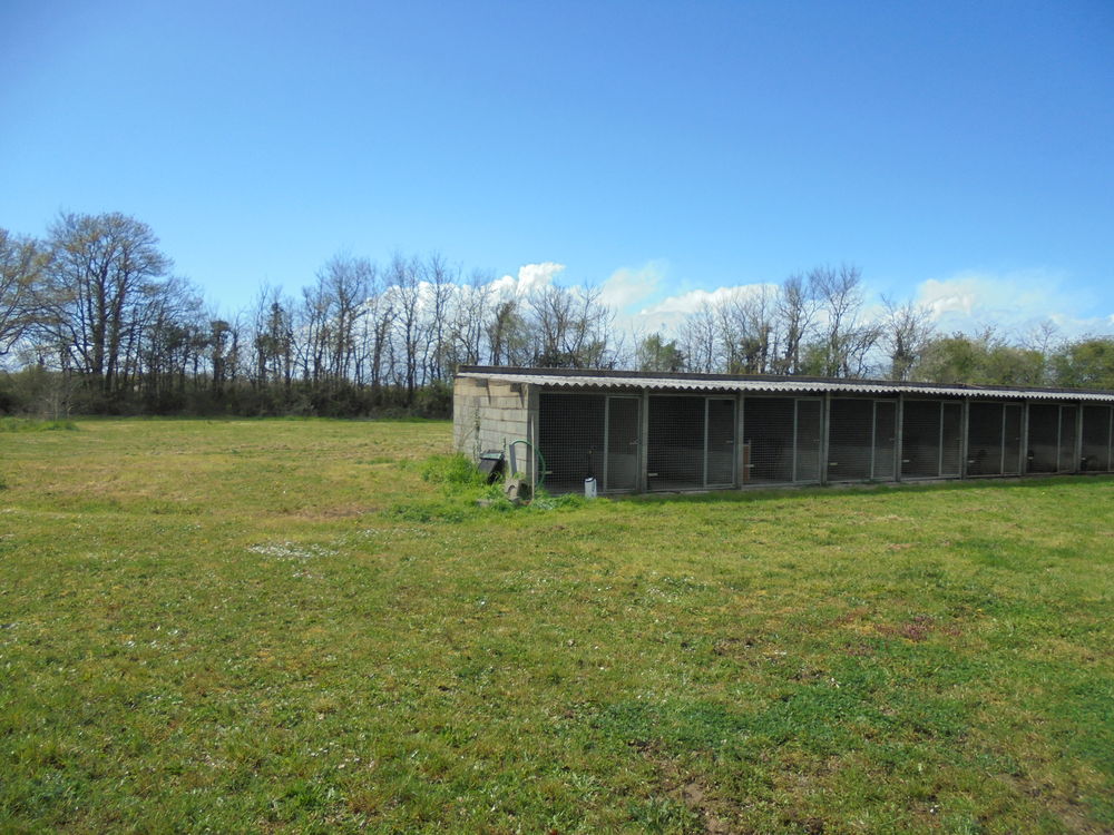 pension canine et feline 10 86470 Boivre-la-vall�e