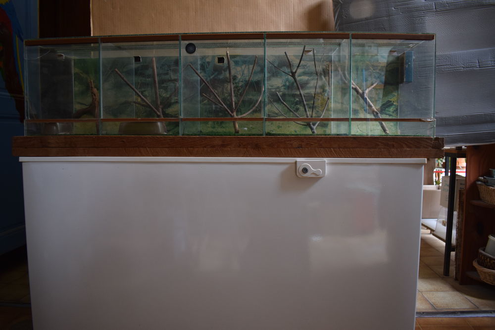 terrariums ou rack 80 16100 Cognac