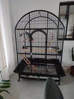 Cage pour perroquet  400 67450 Lampertheim