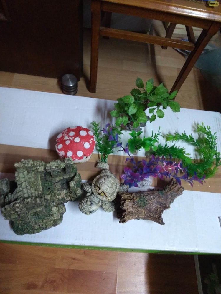 Aquarium +accessoires 80 67310 Wasselonne