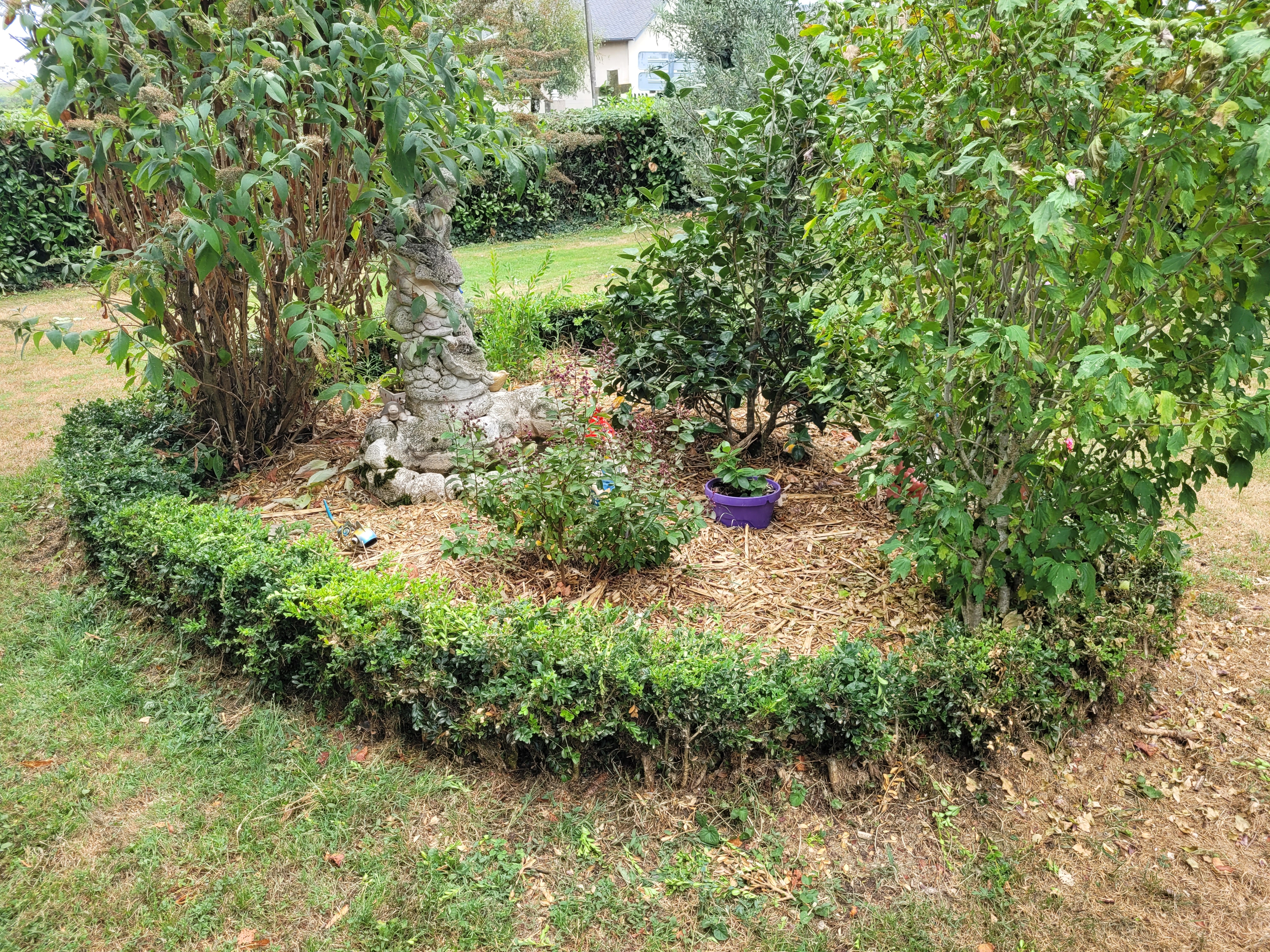  &Eacute;change tortue m&acirc;le 10 ans environ 
Contre femelle 10 &agrave; 15 1 81340 Cadix