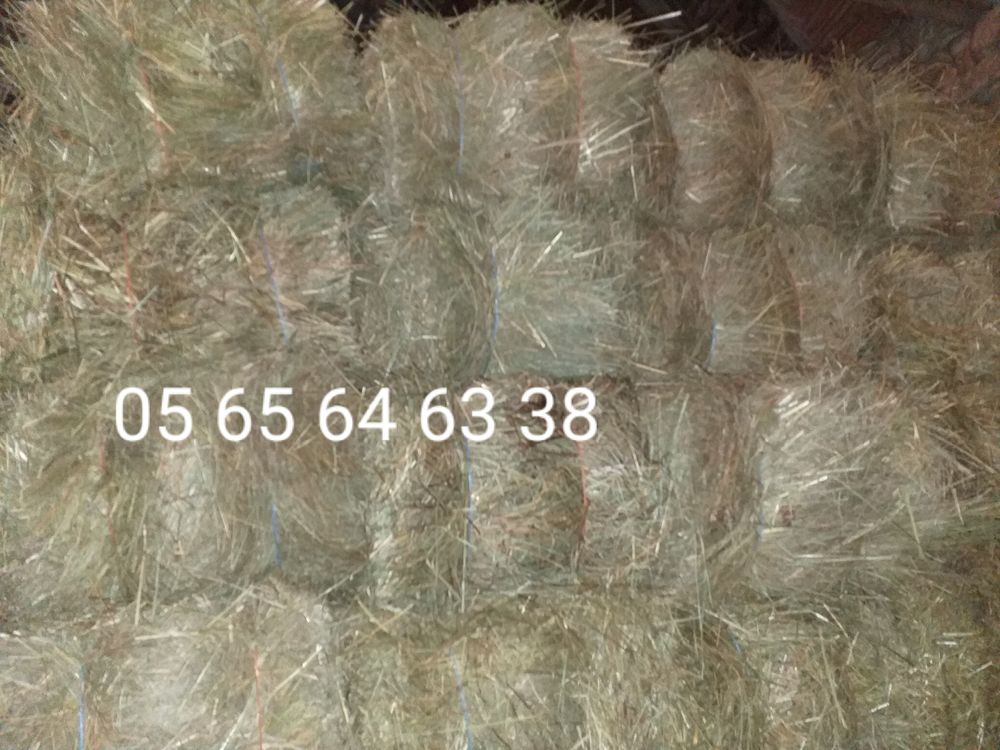 Foin de type bio en petites bottes 2025
2 12700 Loupiac