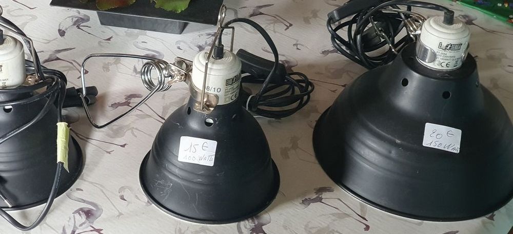 GLOBES  Terrarium Vivarium 15 61550 Saint-nicolas-de-sommaire