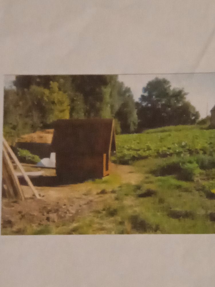 Niche pour chien 500 51120 Broyes