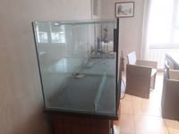 aquarium + meuble 300 85600 Montaigu